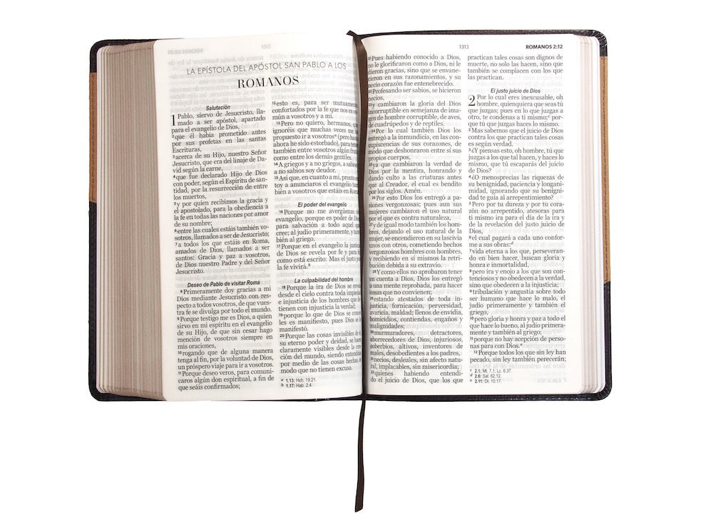 Biblia RVR60 Tamaño Manual Letra Grande